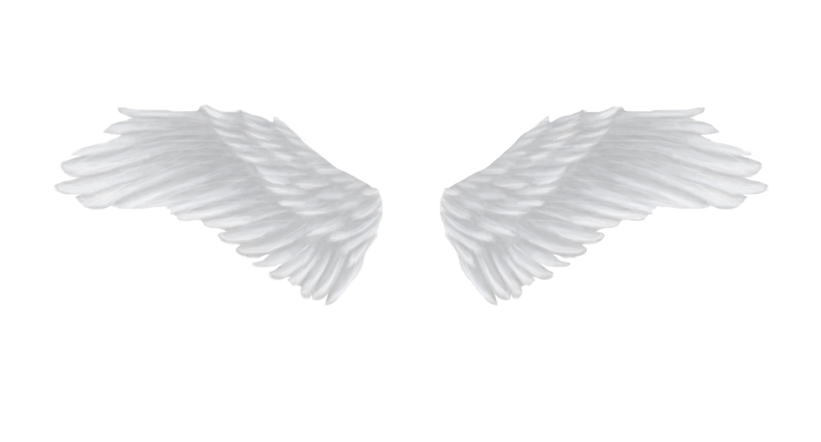 Angels Wing Transparent Png (lavender, black, silver)