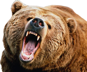 Angry Bear Png Transparent (black)