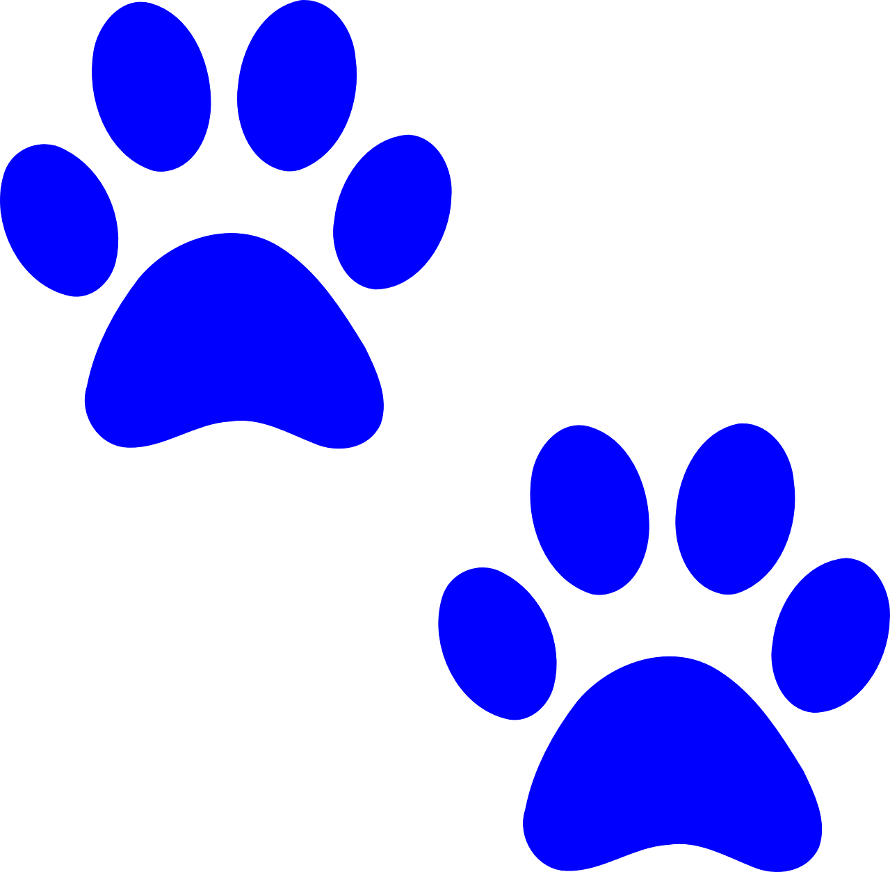 Animal Footprints Download Png Image (black, blue)