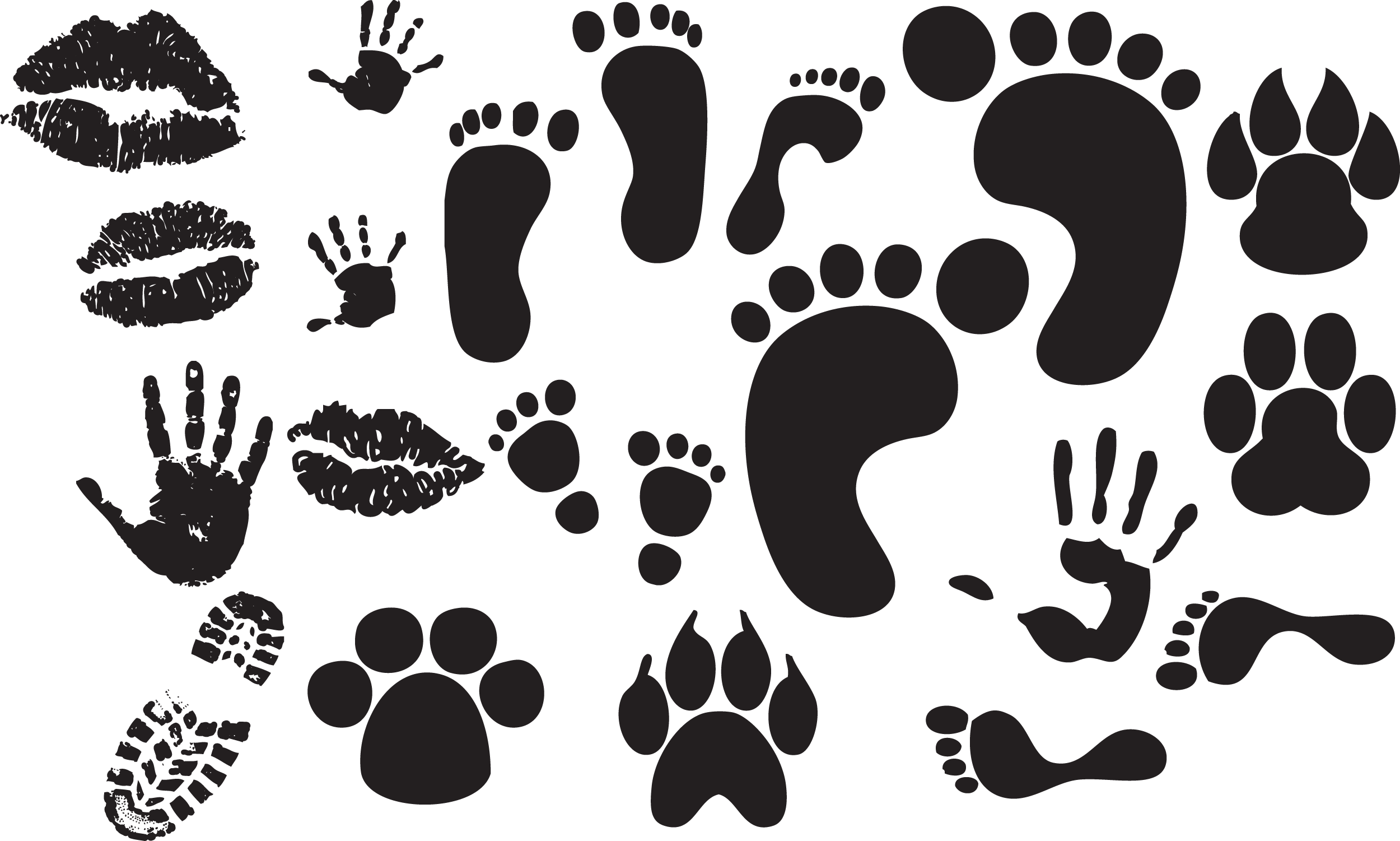 Animal Footprints Png Isolated Photo (black, white)