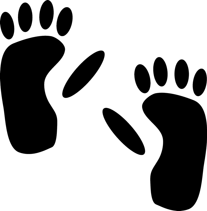 Animal Footprints Png (lavender, black, white)