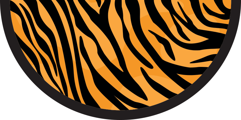 Animal Print Rug Png Pic (white, salmon, orange, black)