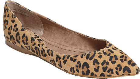 Animal Print Shoes Png Hd (black, gray, olive)