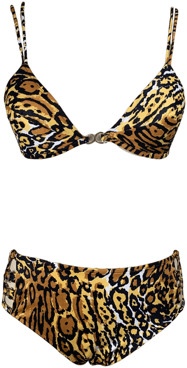 Animal Print Swimsuit Png Photo (black)