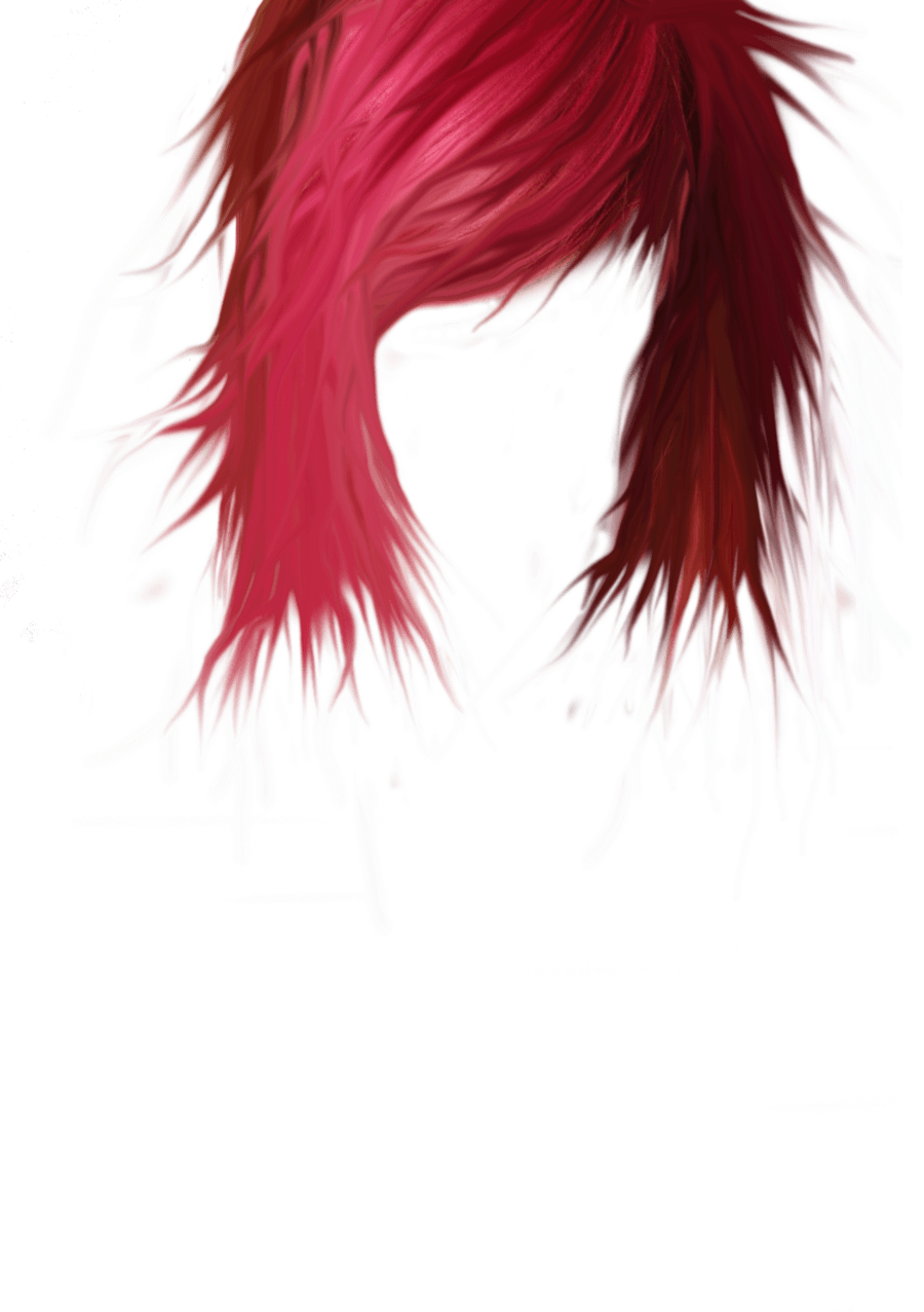 Anime Hair Png Isolated Photo (black)