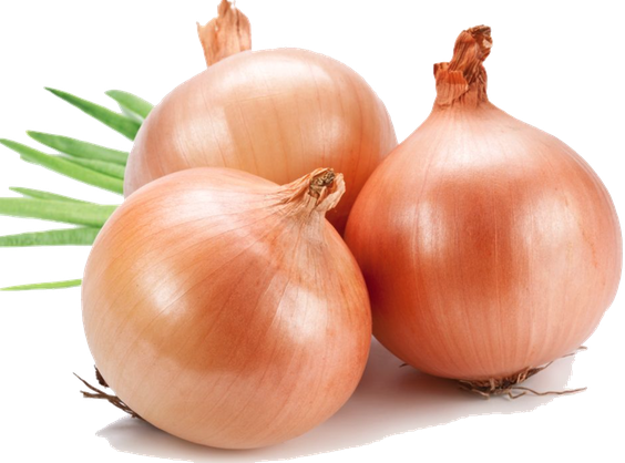 Onion Png Clipart (beige, pink, black)