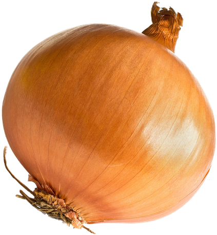 Onion Png File (chocolate, black)