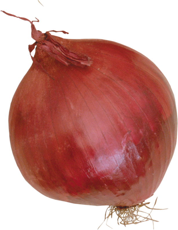 Onion Png Image (maroon, black)