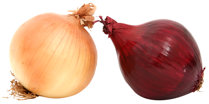 Onion Png Photos (pink, black, salmon)