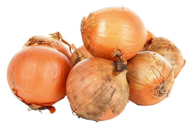 Onion Png Pic (black, salmon)