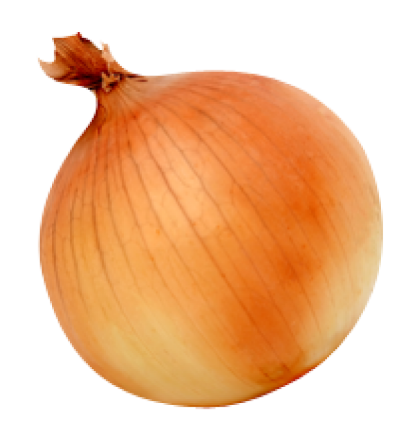 Onion Png Transparent Image (chocolate, black, salmon)