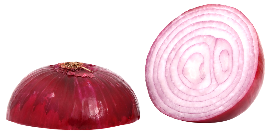 Onion Slice Png Clipart (white, lavender, black, pink)