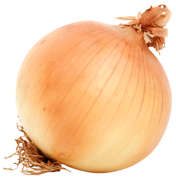 Onion Transparent Background (pink, black)