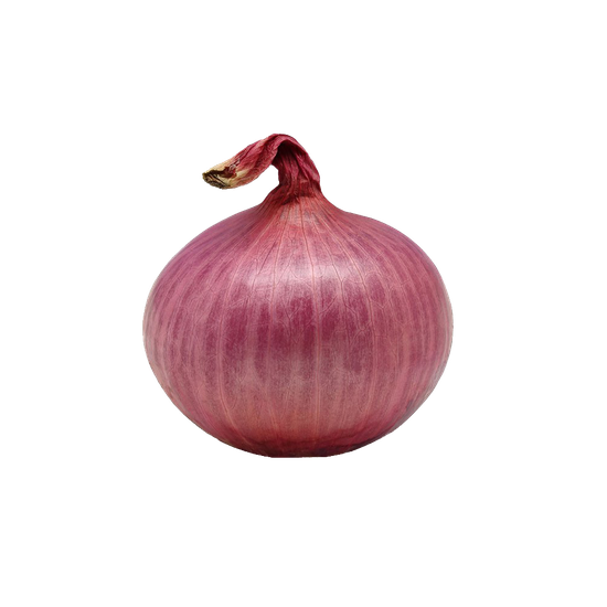 Onion Transparent Png (gray, black)