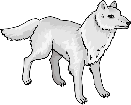 Snow Arctic Fox Download Png Image (black, silver, white, lavender)