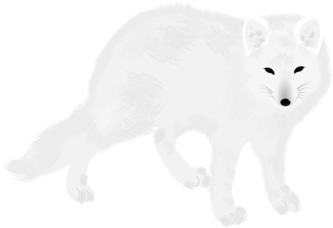 Snow Arctic Fox Png Transparent (black, white, lavender)