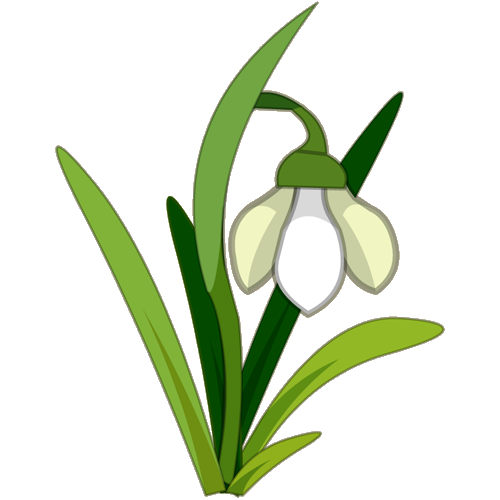 Snowdrop Png Isolated Clipart (white, beige, green, olive, gray)