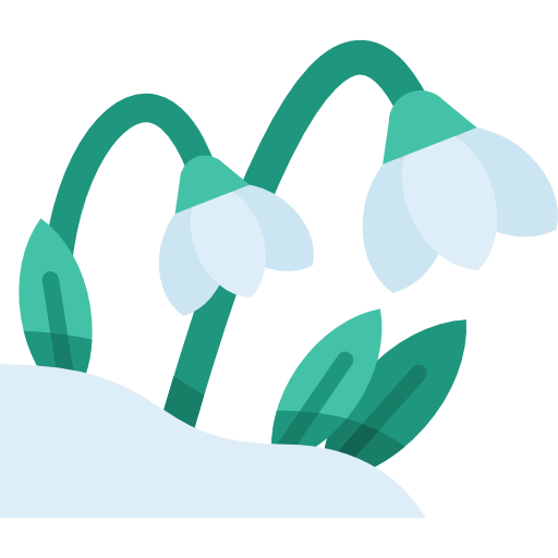 Snowdrop Png Picture (gray, lavender, white, teal)