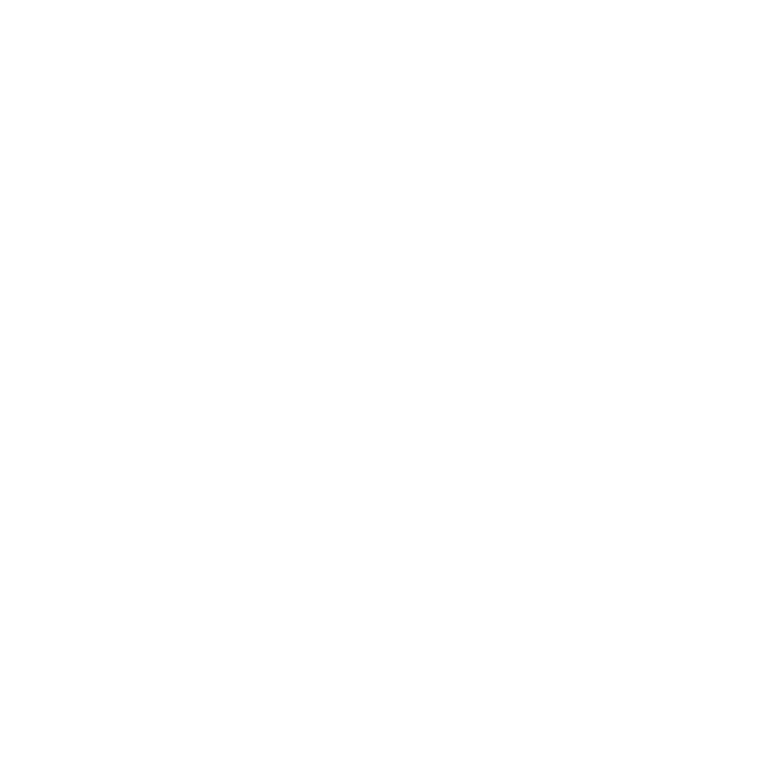 Snowflake Png Pic (white)