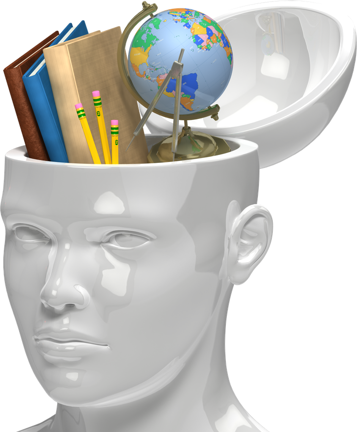 Knowledge Brain Png File (black, silver, white)