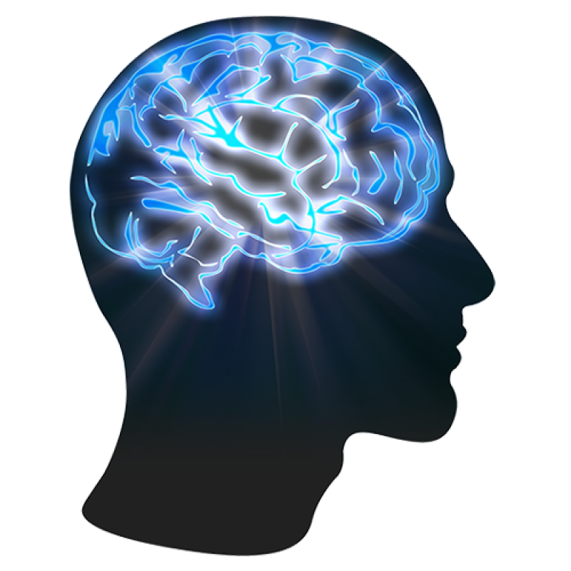 Knowledge Brain Png Image (black)