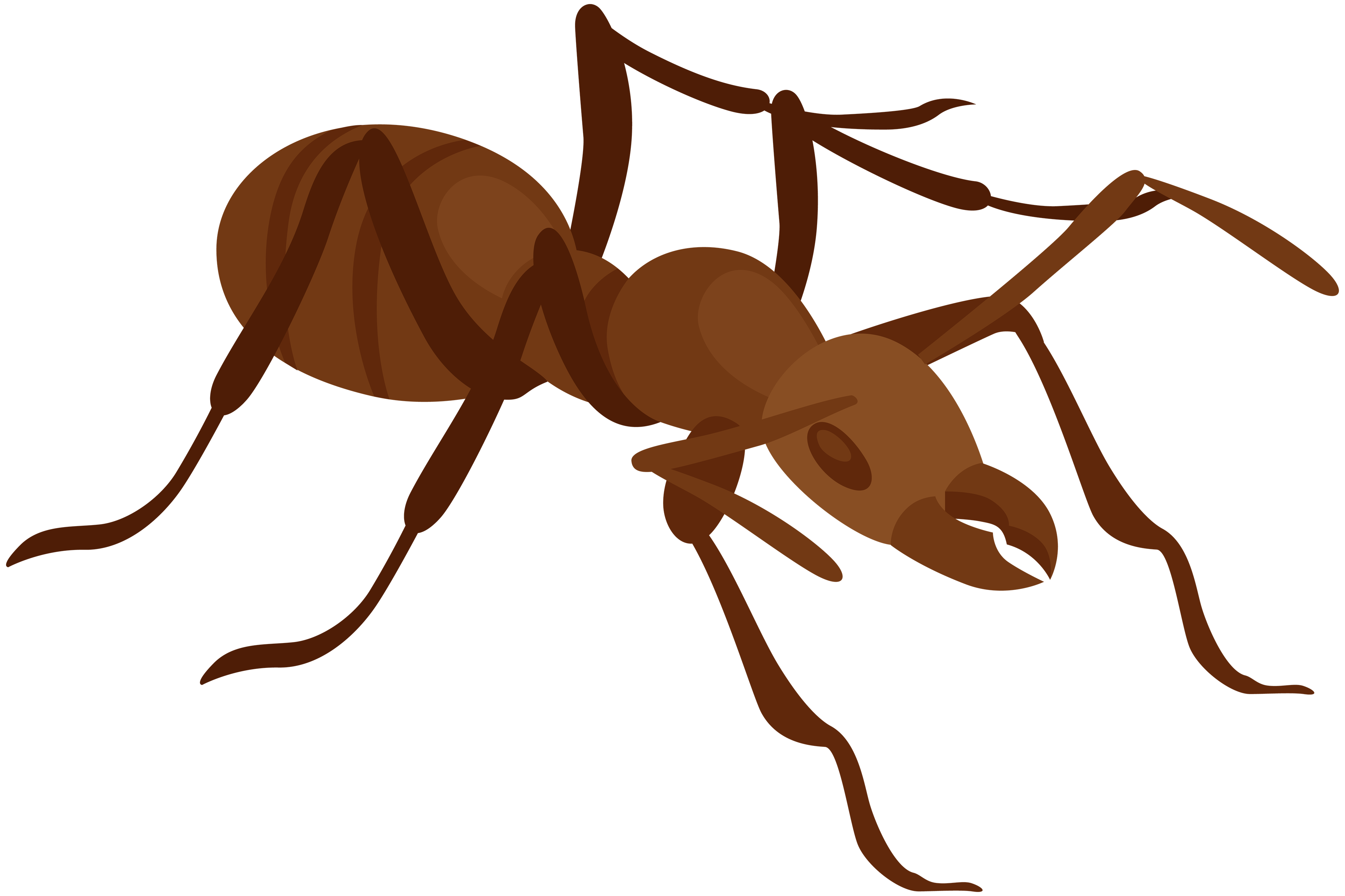 Ants Download Png Isolated Image (maroon, black, olive)