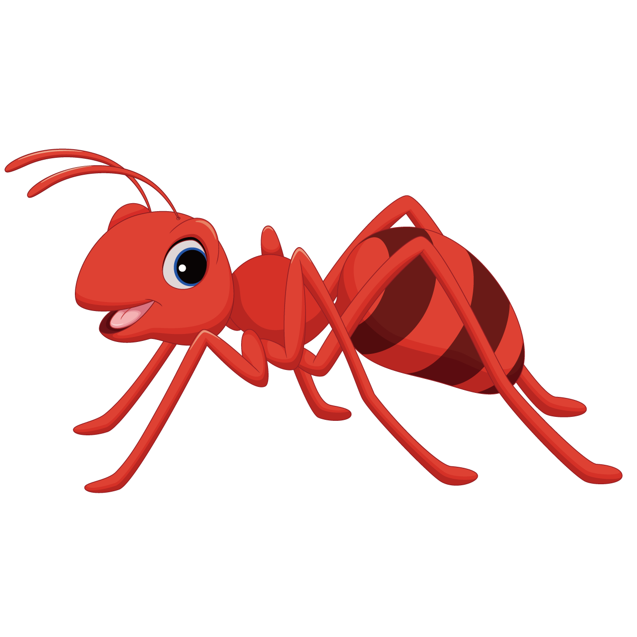 Ants Png Pic (maroon, black, chocolate)