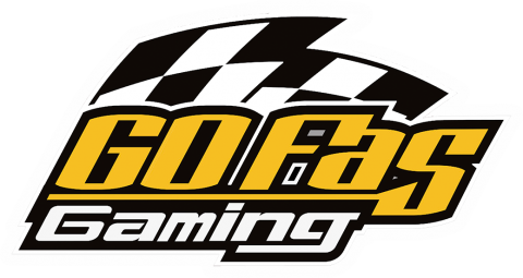 Go Fas Racing Png (black, gold, silver, white)