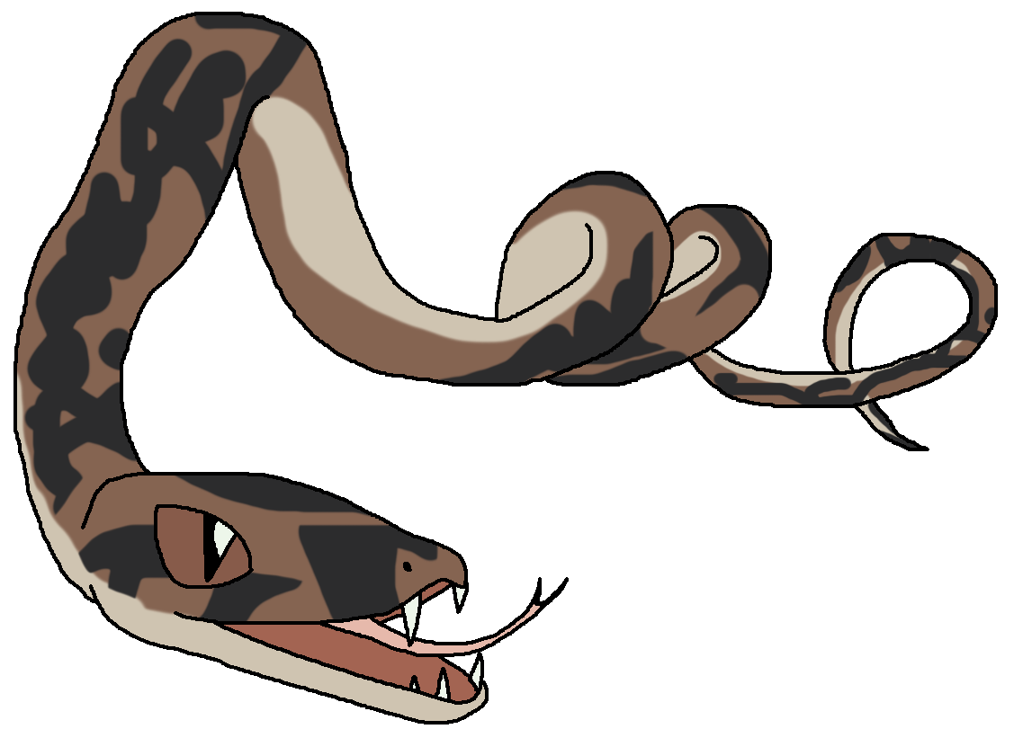 Boa Constrictor Png Isolated Photo (white, black, gray, silver)