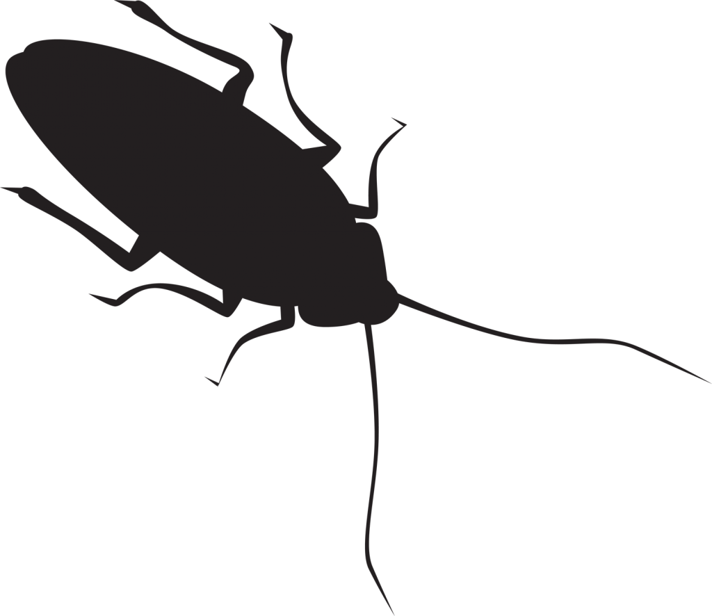 Roach Background Isolated Png (black)