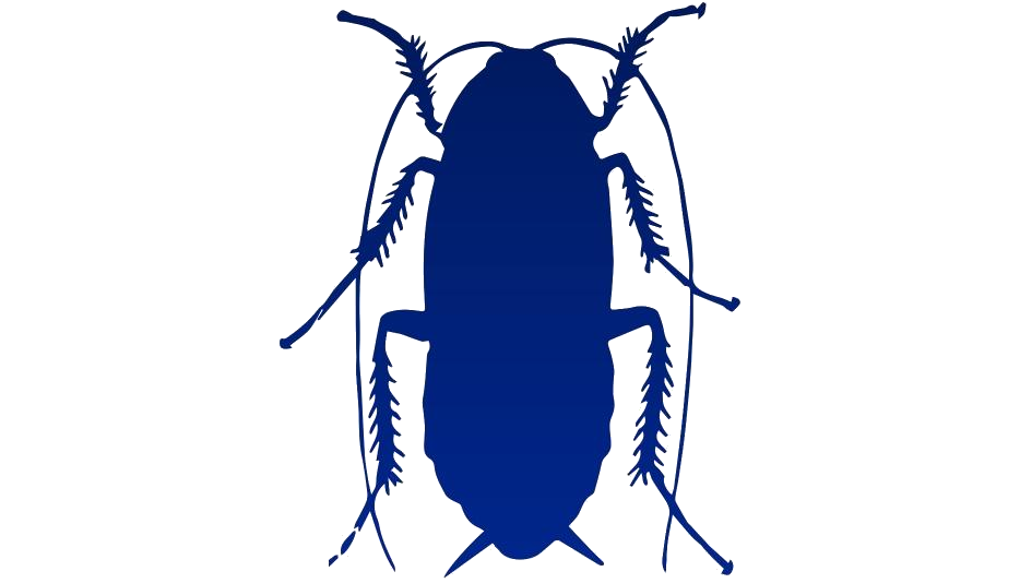 Roach Png Isolated Photos (navy, white)