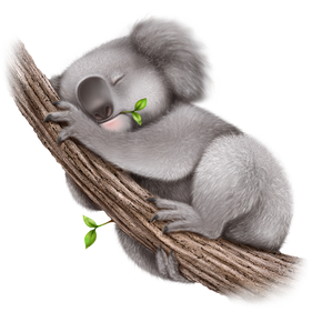 Koala Hd Png Photo (gray, silver, black)