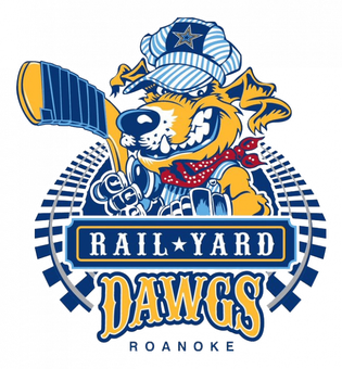 Roanoke Rail Yard Dawgs Png (navy, orange, black, white)