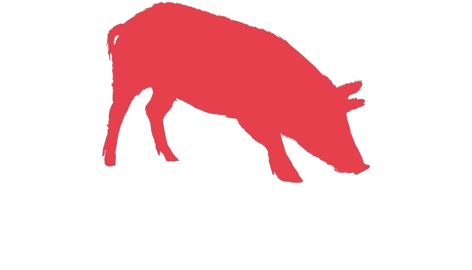 Boar Png Background Isolated Image (white, chocolate)