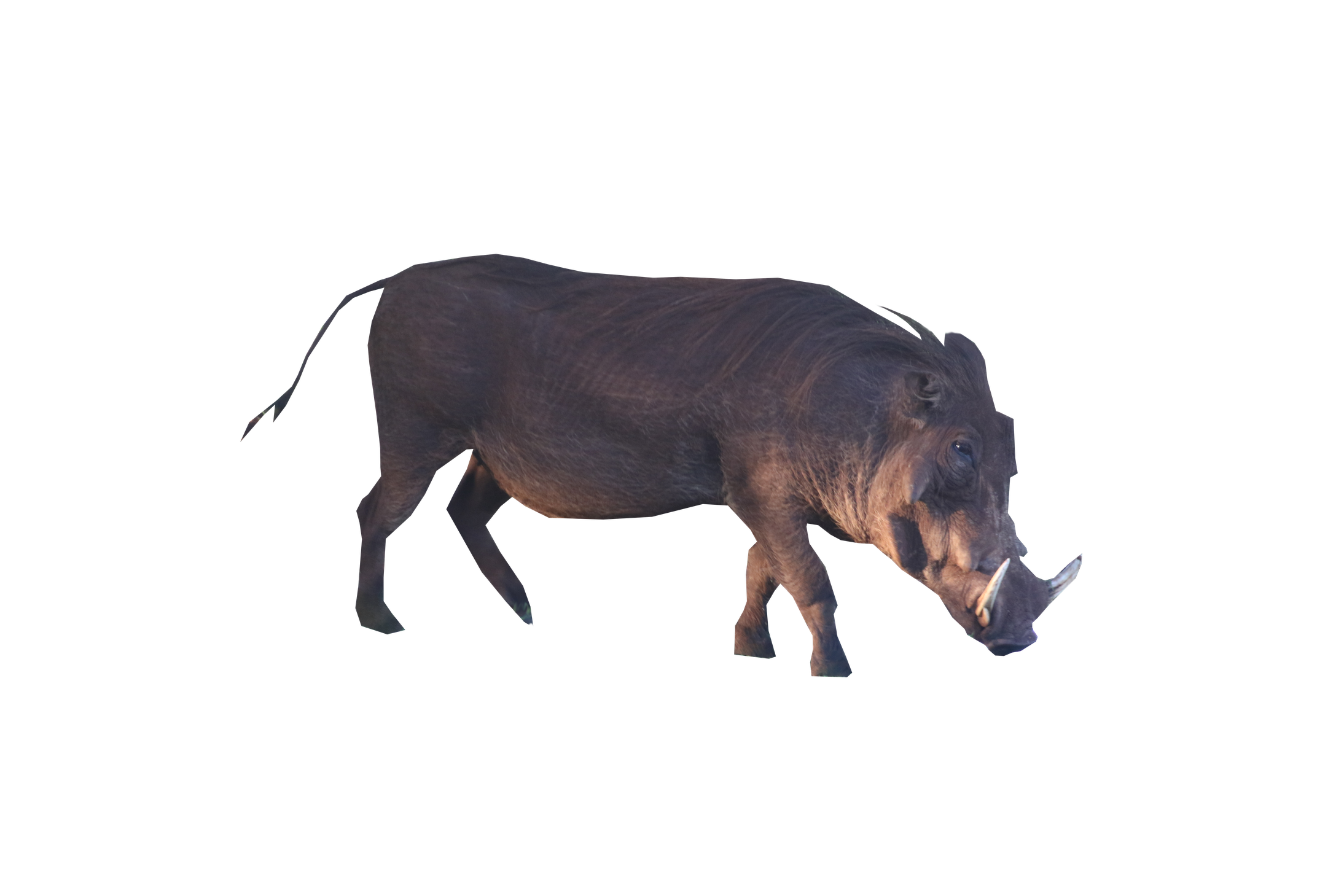 Boar Png File (indigo, black)