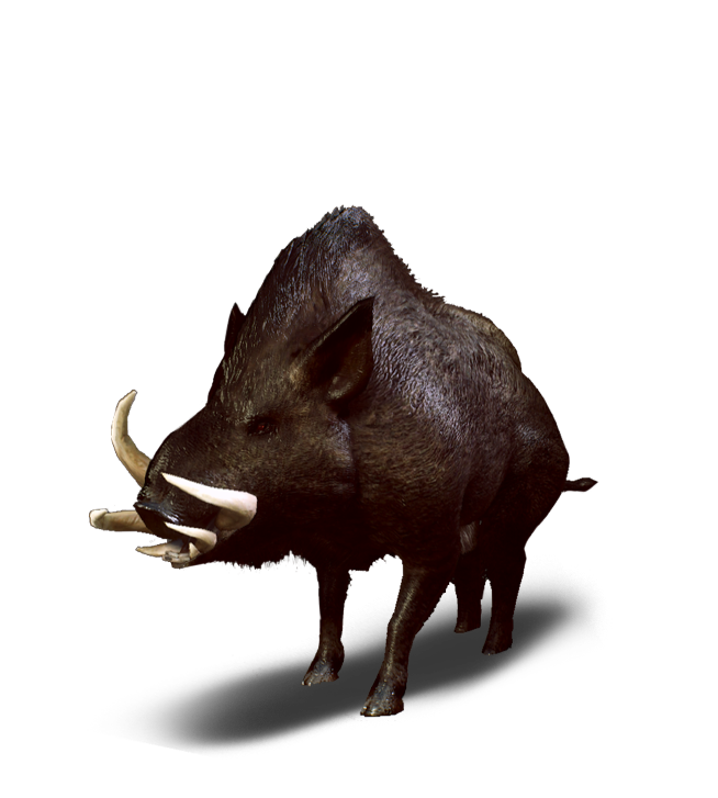 Boar Png Free Image (indigo, black, white, silver)