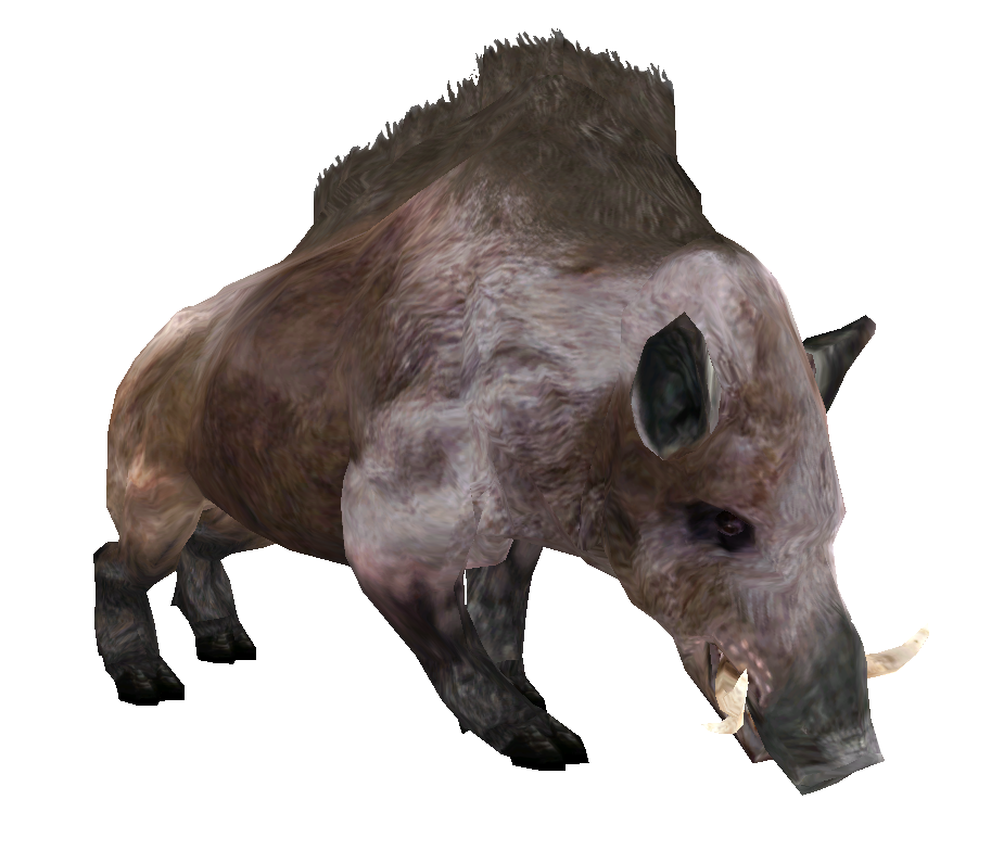 Boar Png Image Hd (indigo, black, maroon, white)