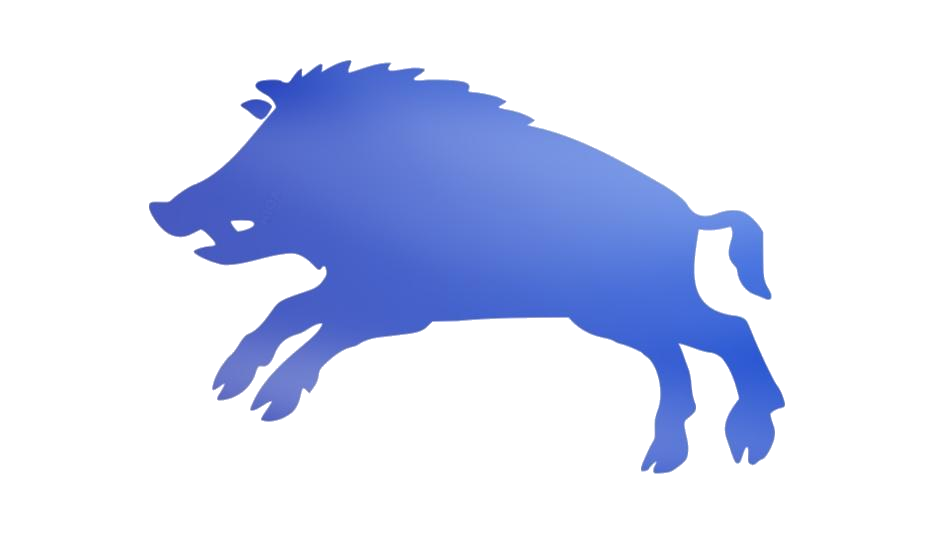 Boar Png Isolated Free Download (white, gray)