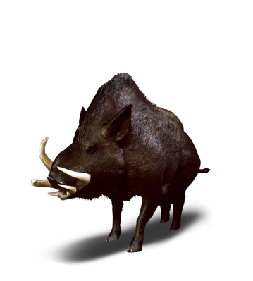 Boar Png Isolated Hd (white, black)