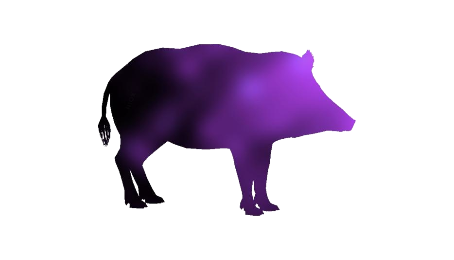 Boar Png Isolated Photo (white, black, indigo)