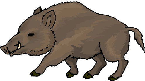 Boar Png Picture (black, gray)