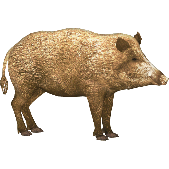 Boar Png Picture (olive, gray, white)