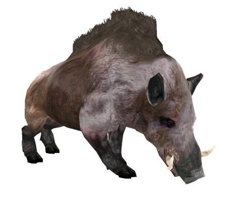 Boar Transparent Background (maroon, black, indigo)