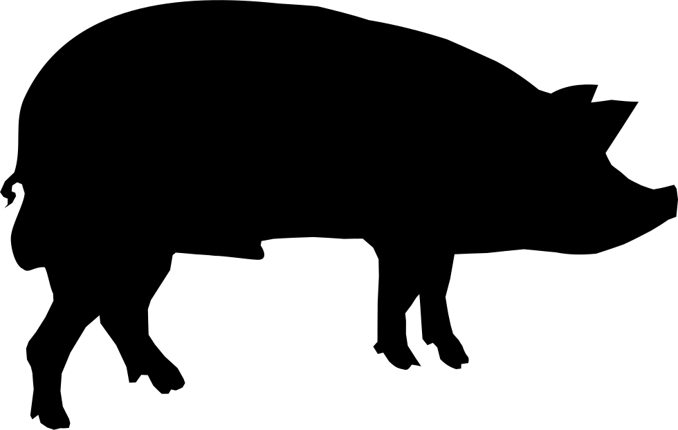 Boar Transparent Png (white, lavender, black)