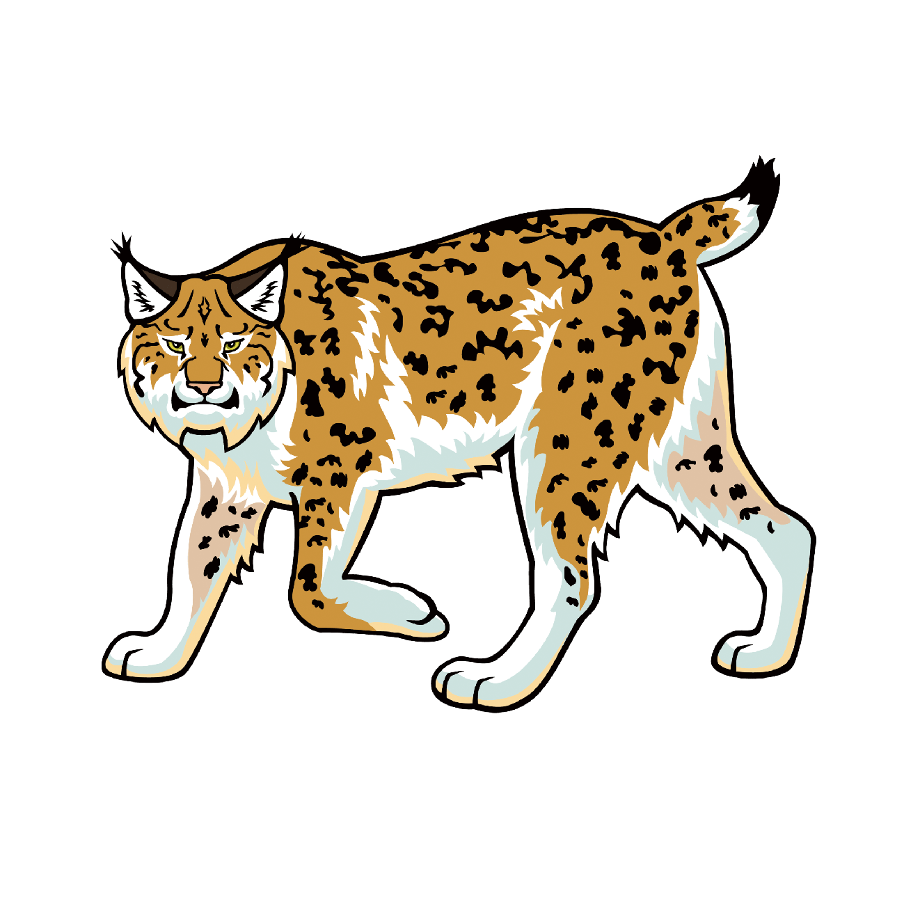 Bobcats Png Clipart (white, gray, chocolate)