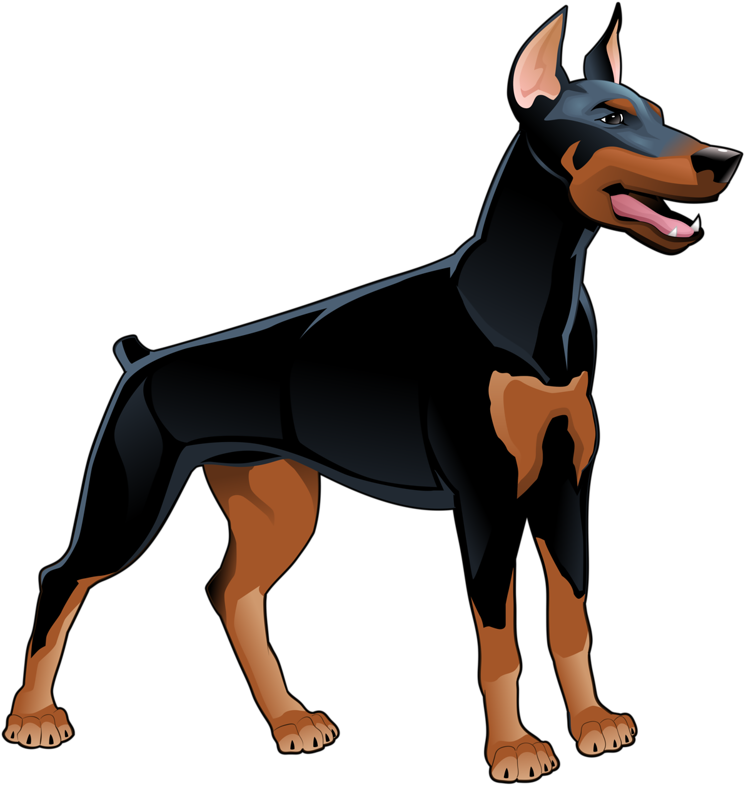 Doberman Download Png Image (black, chocolate)