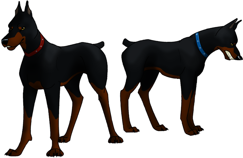 Doberman Png Isolated Photo (black)