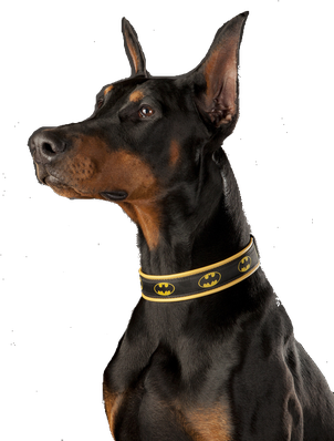 Doberman Png Isolated Pic (black)