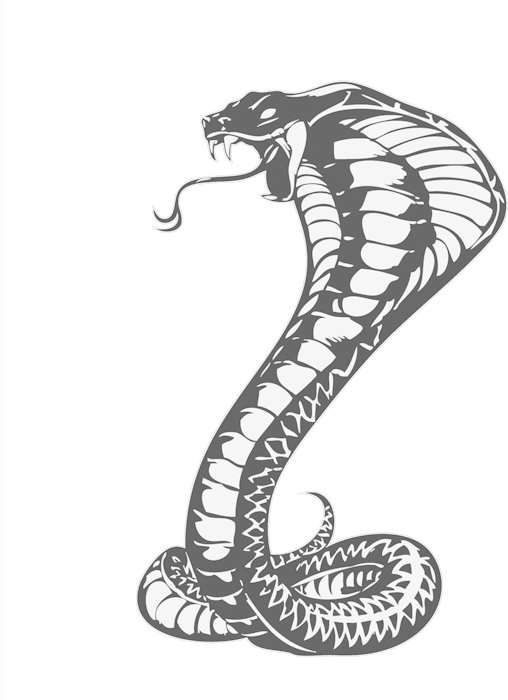 Cobra Png Isolated File (gray, black, white)