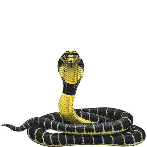 Cobra Png Photo (black)